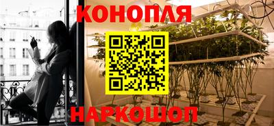 таблы Гусев