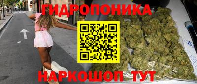 spice Гусиноозёрск